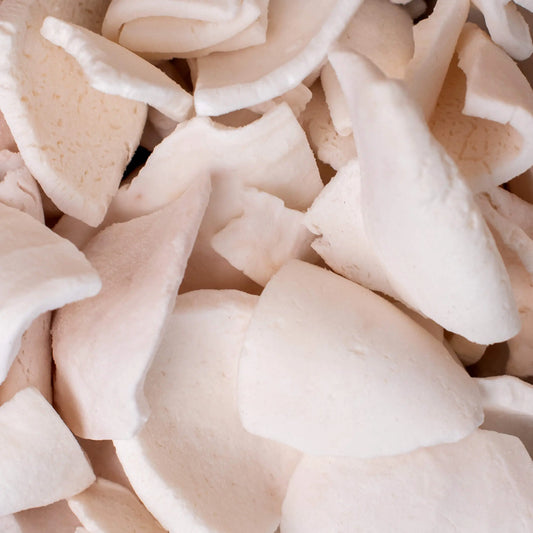 Кокос сублімований - FRUTTA