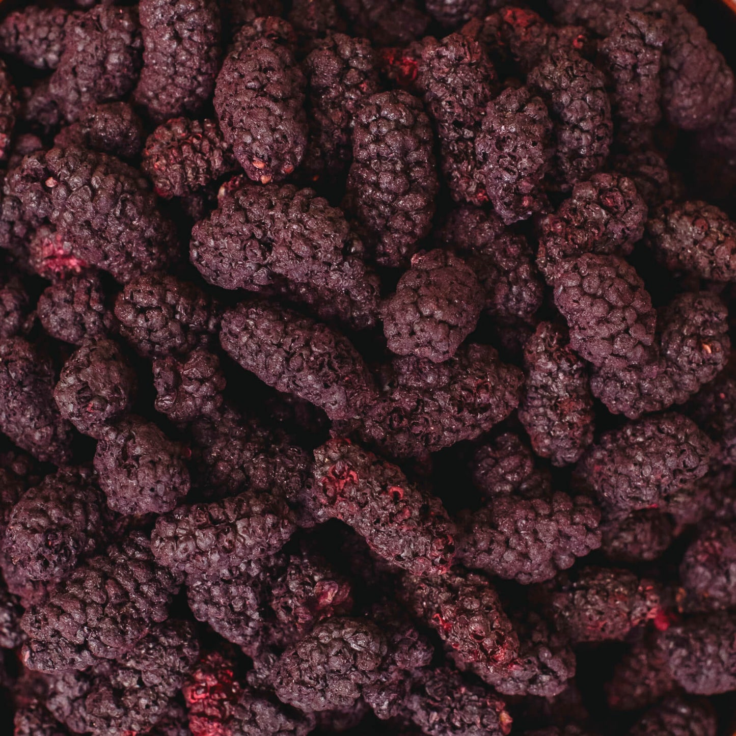 Шовковиця сублімована