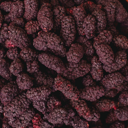 Шовковиця сублімована